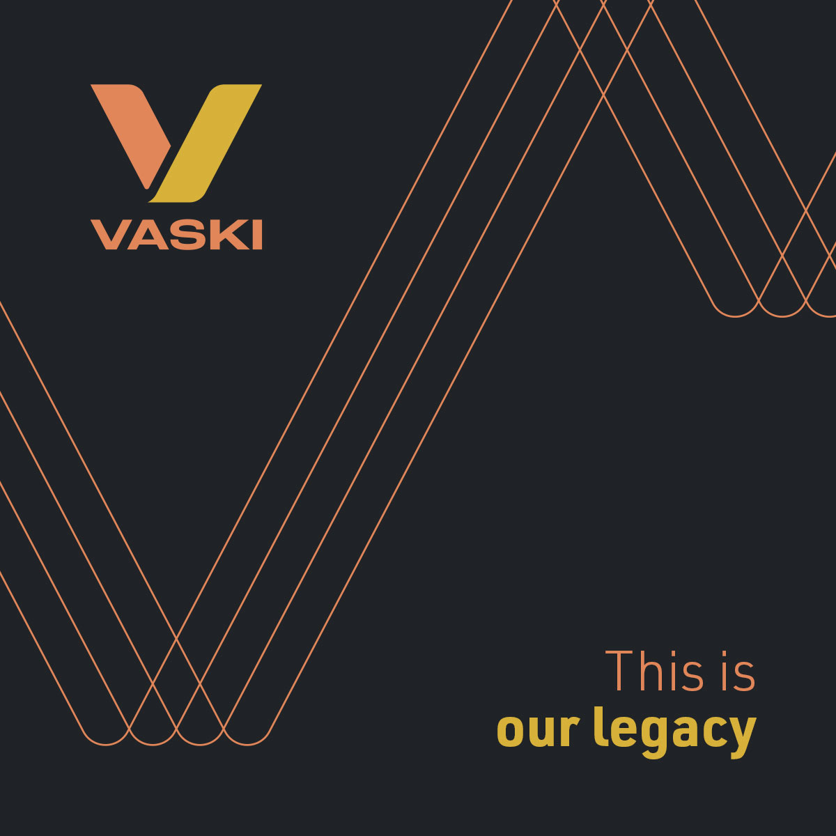 Vaski-logo
